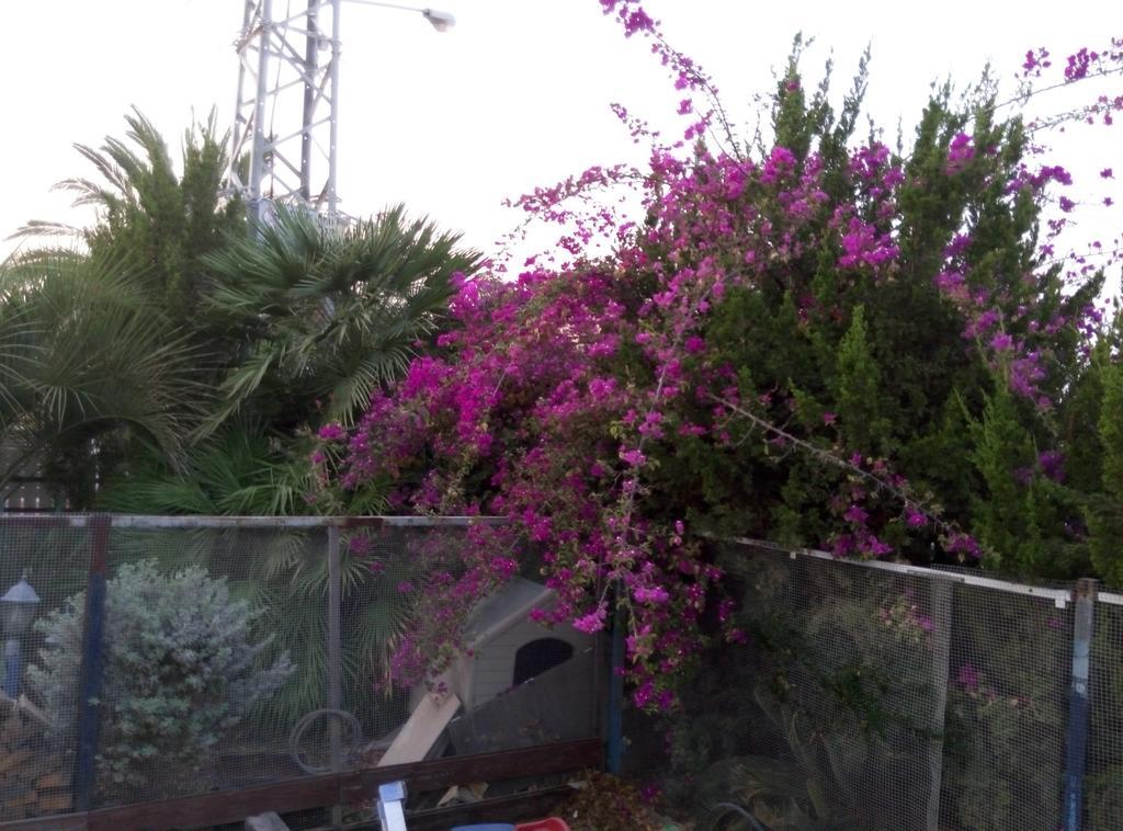 Castel Ashkelon Hotel Exterior foto